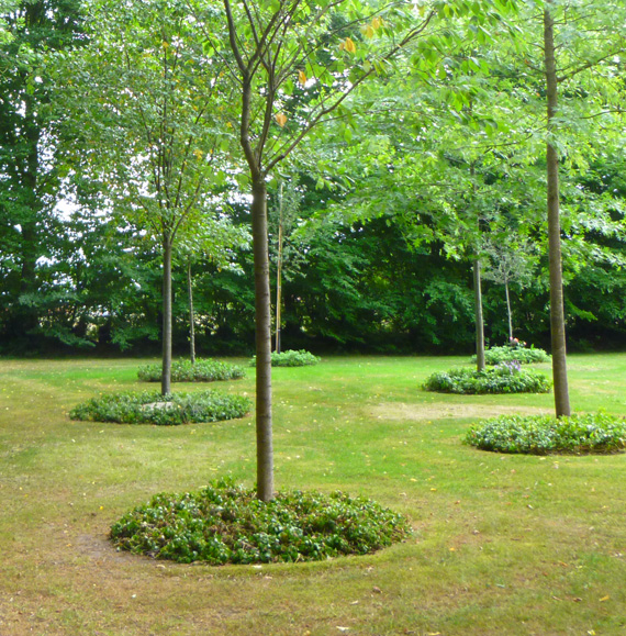 Parkartig gestaltete Grünfläche mit jungen Bäumen und runden Staudenbeeten auf dem Friedhof Bad Oldesloe